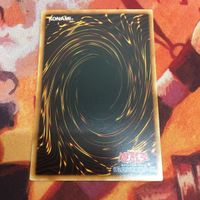 闇竜星-ジョクト スーパーレア 遊戯王 NECH-JP032 サムネイル 4