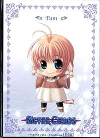カード シルバーカオス SILVER CHAOS 非売品 テレビゲーム ゲーム サムネイル 1