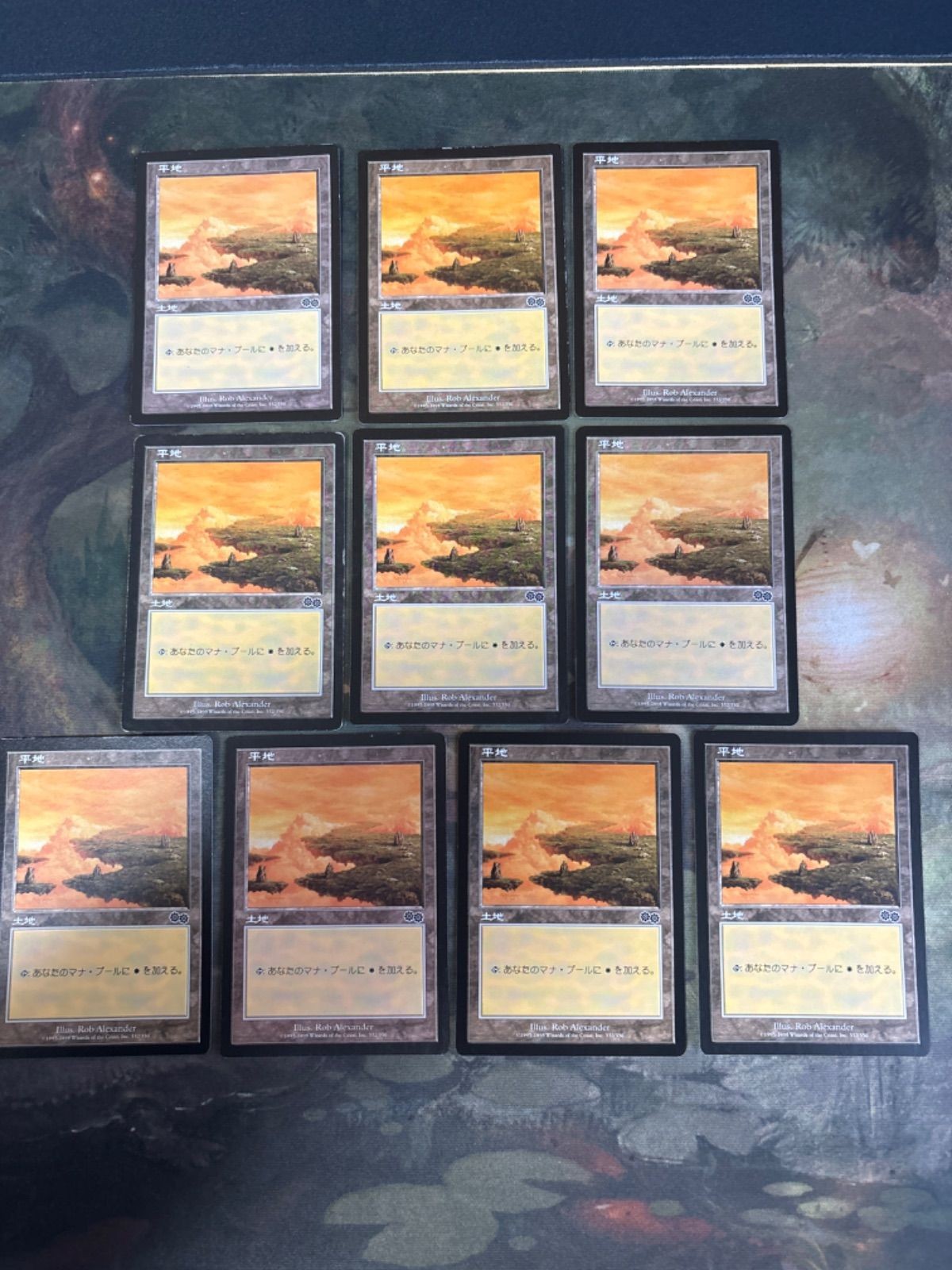 ウルザズ・サーガ 平地/Plains 10枚 日本語版 JP 型番統ー まとめ MTG 人気絵柄 基本土地 大量