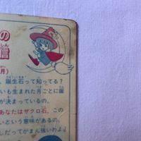 交渉歓迎 cas1 カード シール マイナー 魔法使いサリー サリー きせかえシール ニッスイ サリーの魔法通信 光プロ テレビ朝日 東映 サムネイル 9