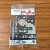 カード トレカ まとめ 新世紀 エヴァンゲリオン エヴァ 碇 シンジ ユイ 赤木 ナオコ 6 サムネイル 7