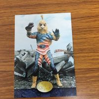 カルビー 仮面ライダー カード まとめ 29 サムネイル 6