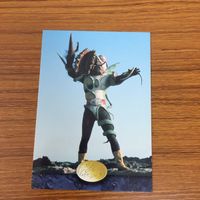 カルビー 仮面ライダー カード まとめ 29 サムネイル 2