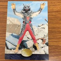 カルビー 仮面ライダー カード まとめ 29 サムネイル 5