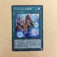 字レア カード トレーディングカード アマゾネスの秘術 まとめ サムネイル 4