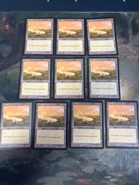 ウルザズ・サーガ 平地/Plains 10枚 英語版 EN 型番統ー まとめ MTG 人気絵柄 基本土地 大量