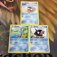 ポケモンカード 旧裏面 英語 海外版 3枚 シェルダー ケロマツ 43