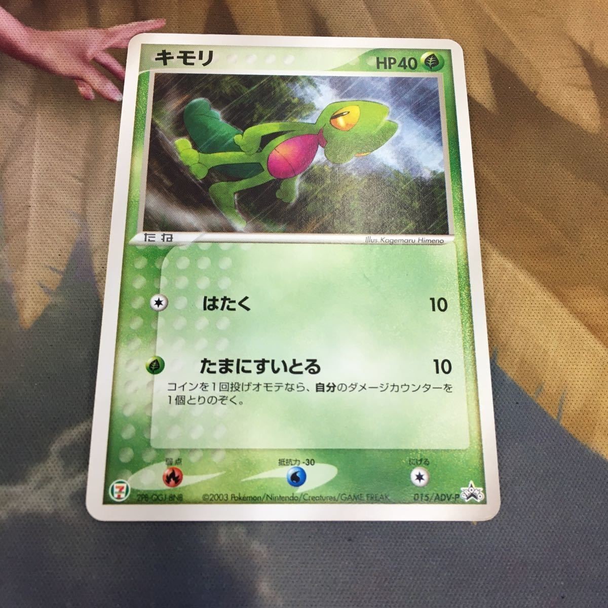 ポケモンカード 新裏面 1枚 キモリ プロモ 2