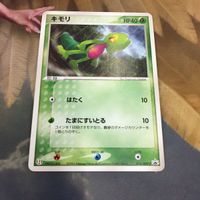 ポケモンカード 新裏面 1枚 キモリ プロモ 2 サムネイル 1