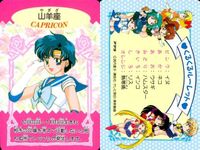 カード やぎ座 山羊座 水野 亜美 セーラームーン くるくるルーレット アマダ サムネイル 2