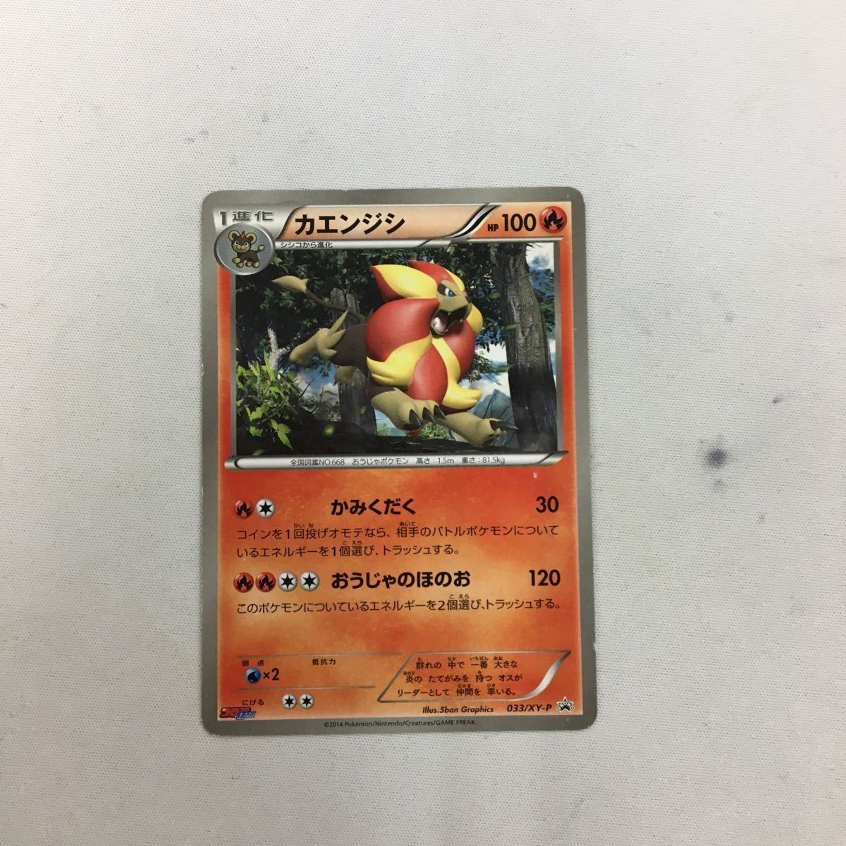 ポケモンカード 新裏面 プロモ カエンジシ 69