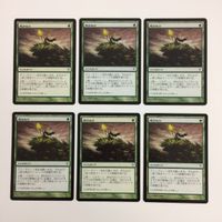 Magic The Gathering MTG Card Lot Japanese