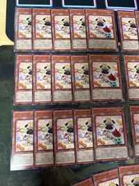 プリンシパグ 35枚 型番統一 ノーマル 遊戯王 PHNI まとめ サムネイル 2