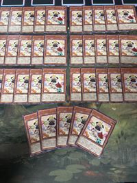 プリンシパグ 35枚 型番統一 ノーマル 遊戯王 PHNI まとめ