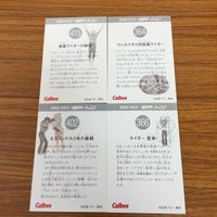 カルビー仮面ライダーカード まとめ 仮面ライダー 1号 9 サムネイル 6