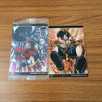 カード トレカ まとめ ワンピース ワンピ ポートガス D エース レア モンキー D ルフィ SR レア キラ 11