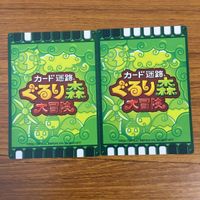 カード トレカ まとめ カード迷路 ぐるり森 大冒険 パピヨンナイト ゴールドプレシオン インディイーグル イヌイットン 43 サムネイル 6