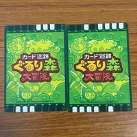 カード トレカ まとめ カード迷路 ぐるり森 大冒険 パピヨンナイト ゴールドプレシオン インディイーグル イヌイットン 43 サムネイル 10