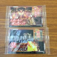 カード トレカ まとめ 鬼滅の刃 胡蝶 しのぶ 伊黒 少芭内 煉獄 杏寿郎 竈門 炭治郎 禰豆子 16 サムネイル 6