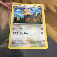 ポケモンカード 旧裏面 海外 英語版 1枚 ハーデリア 55 Herdier サムネイル 1