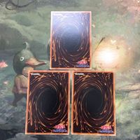 遊戯王 カード まとめ ZW－玄武絶対聖盾 12 サムネイル 4