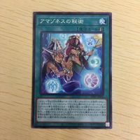 遊戯王 字レア カード トレーディングカード アマゾネスの秘術 まとめ サムネイル 4