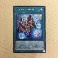 遊戯王 字レア カード トレーディングカード アマゾネスの秘術 まとめ サムネイル 3