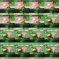 全てR FFTCG ファイナルファンタジー FF13 FF5 ティナ セラ FF12 パンネロ カード まとめ y012 o16-1 0823 サムネイル 6