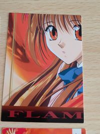 烈火の炎 アマダ カード まとめ 影法師 烈火 紅麗 43 17 28 33 サムネイル 5