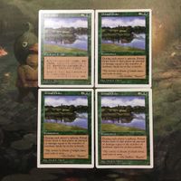 MTG Magic Gathering Primal Order 5ED Card Set Lot