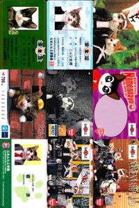 カード なめんなよ まとめ 猫 SATORU TSUDA 学生証 キラ サムネイル 1