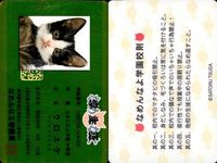 カード なめんなよ まとめ 猫 SATORU TSUDA 学生証 キラ サムネイル 2