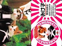 カード なめんなよ まとめ 猫 SATORU TSUDA 学生証 キラ サムネイル 4