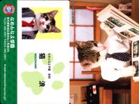 カード なめんなよ まとめ 猫 SATORU TSUDA 学生証 キラ サムネイル 8