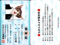 カード なめんなよ まとめ 猫 SATORU TSUDA 学生証 キラ サムネイル 3