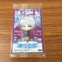 未開封 ウエハース カード まとめ A3 雪白 東 12 サムネイル 6