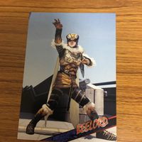 仮面ライダー アギト カード まとめ 39 サムネイル 2