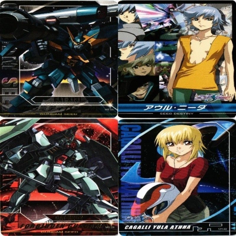 アウル ニーダ カラミティガンダム カガリ ガンダムSEED カード まとめ