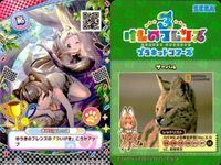 けものフレンズ けもフレ カード R まとめ カードリスト参照 4 サムネイル 2