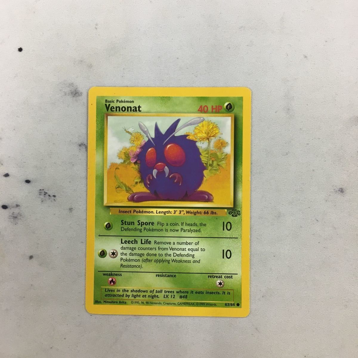 ポケモンカード 旧裏面 海外 英語版 コンパン 12