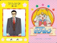 カード セーラームーン まとめ プリンセス フレンドカード フレンド パパ 月野うさぎ ジェダイト クインベリル プリンセスカード サムネイル 4