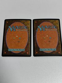 サリッド 雹の嵐 タイムシフト TSB FOIL 日本語 サムネイル 4