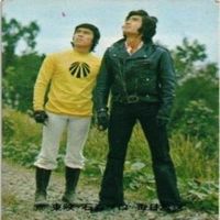 【状態C-D】291 354 154 262 仮面ライダー 旧カルビー 他27局 カード まとめ サムネイル 4
