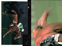 競馬 カード まとめ キラ ホロ フサイチコンコルド ダンスインザダーク ナリタブライアン ダンツシリウス スペシャルウィーク タイキシャトル ジョッキー バンダイ サムネイル 6