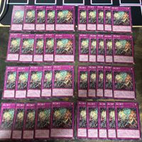 燦幻開花 さんげんカイホウ 天盃龍 型番統一 遊戯王 まとめ ノーマル INFO