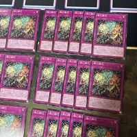 燦幻開花 さんげんカイホウ 天盃龍 型番統一 遊戯王 まとめ ノーマル INFO サムネイル 3