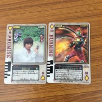 カード トレカ まとめ 仮面ライダー 剣 ブレイド ラウズカード ボアアンデッド 強化ブレイラウザー バッファローアンデッド 16 サムネイル 7