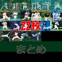 野球 カード カルビー まとめ 松井 秀喜 井口 ペタジーニ 黒木 立浪 小笠原 田口 パウエル 西口 古田 江藤 2001 2002 キラ ap623