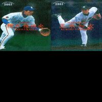 野球 カード カルビー まとめ 松井 秀喜 井口 ペタジーニ 黒木 立浪 小笠原 田口 パウエル 西口 古田 江藤 2001 2002 キラ ap623 サムネイル 7