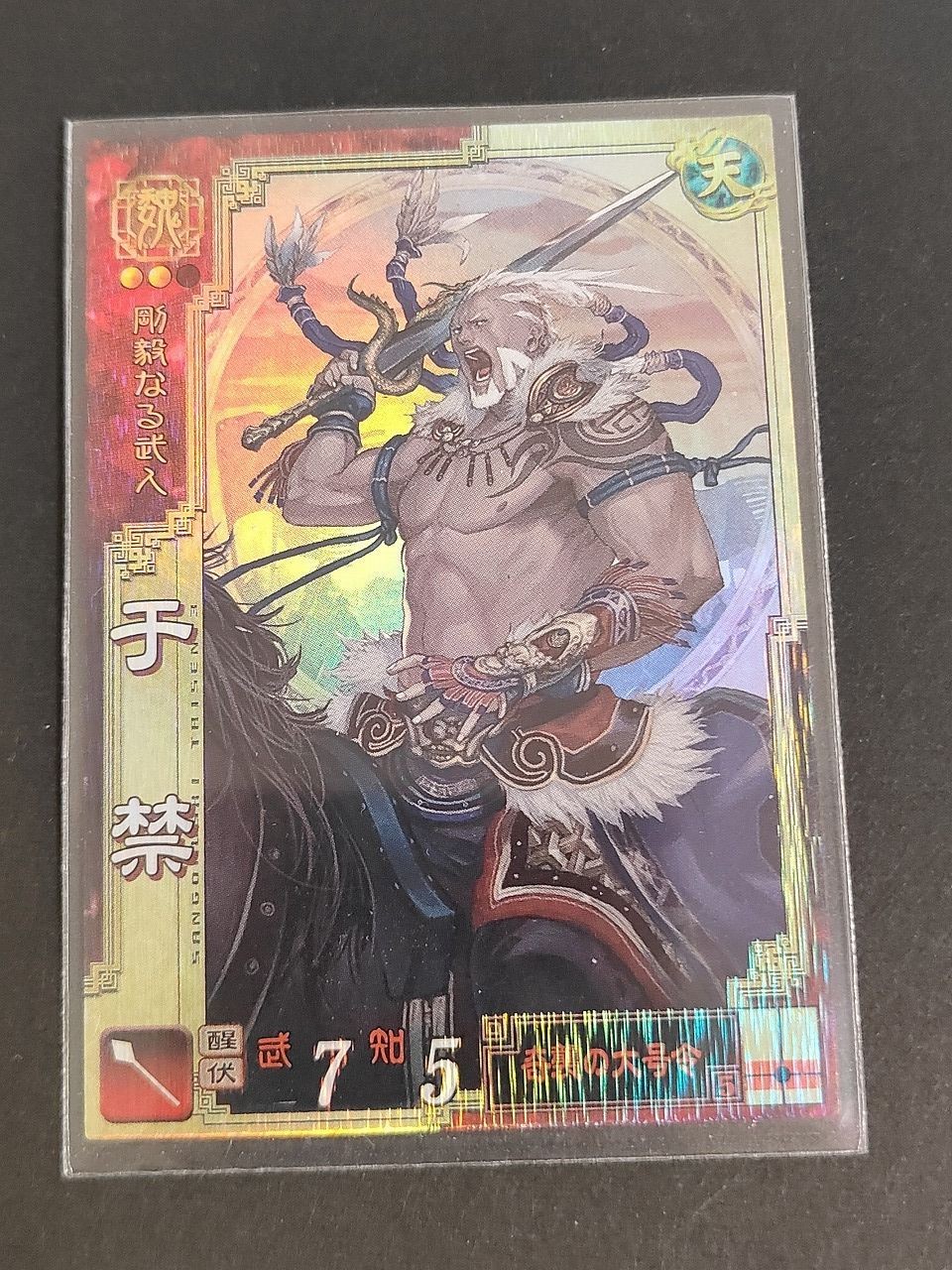 三国志大戦 EX カード 宇禁 EX 043 西野幸治